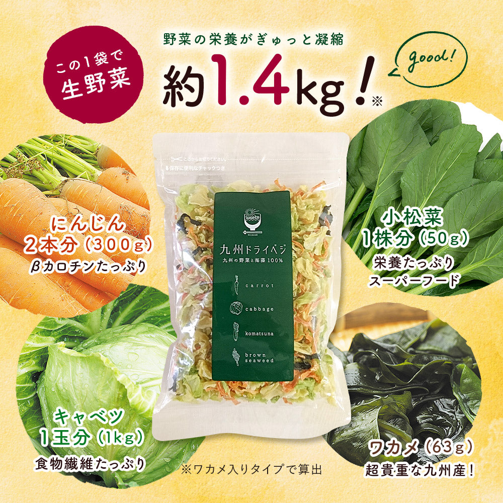 九州ドライベジ　100g　九州産　1袋　乾燥野菜【出荷目安：ご注文後3～5日】