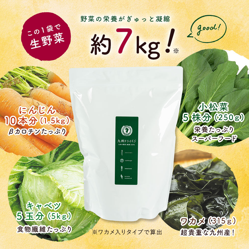 大容量)九州ドライベジ 500g【宅配便送料無料】 【出荷目安：ご注文後3