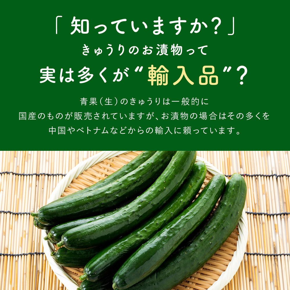 宮崎産『九州きゅうり醤油漬け』100ｇ【出荷目安：ご注文後3~5日】